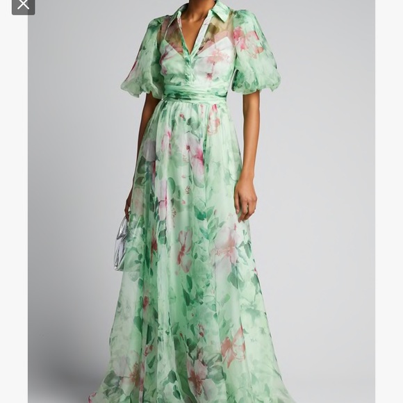 Badgley Mischka Dresses & Skirts - Badgley Mischka Organza Puff-Sleeve Gown